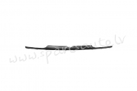 PVW07010GB