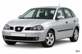 Seat IBIZA, 2002-2006